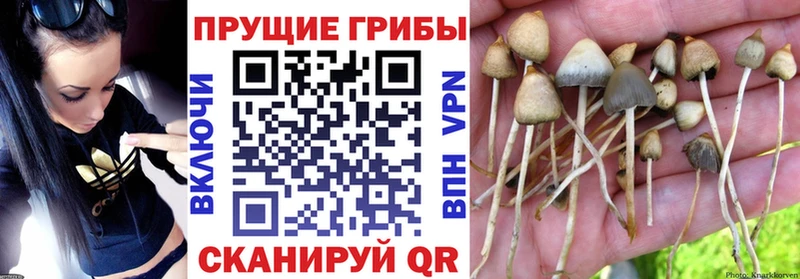 Галлюциногенные грибы MAGIC MUSHROOMS Топки